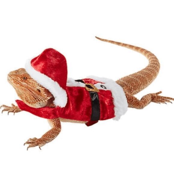 Merry & Bright Santa Reptile Costume- NWT - Picture 1 of 5